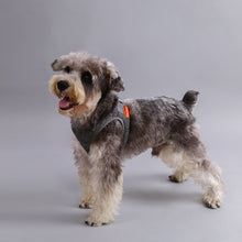 Load image into Gallery viewer, Instachew PETKIT Air Pro Dog Harness