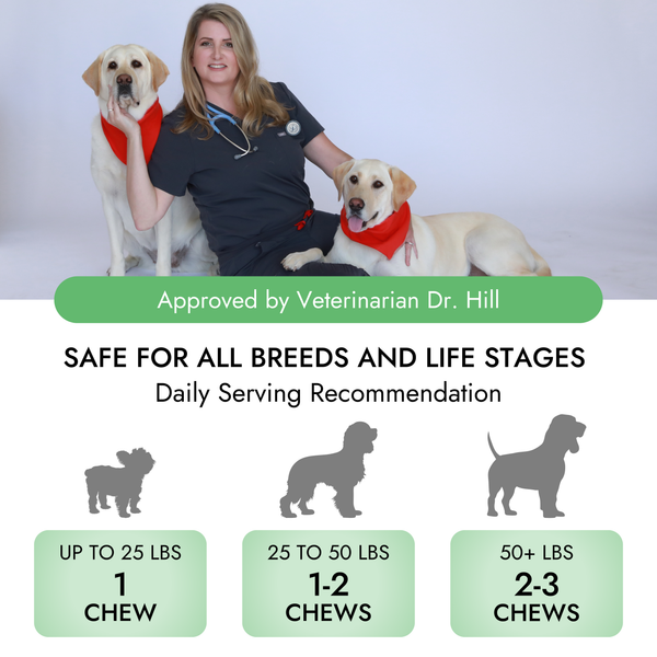 Pet Vet Allergy Relief Chews for Dogs