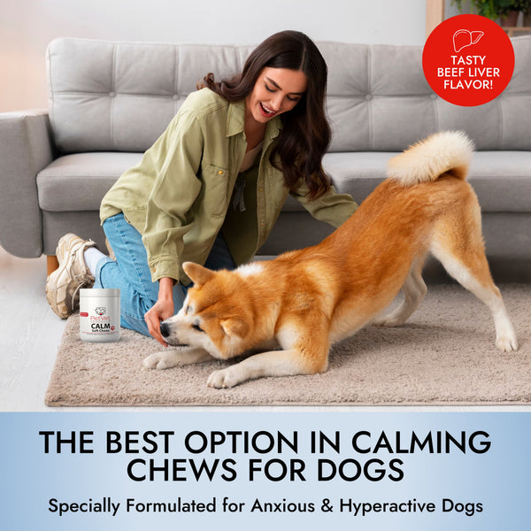 Pet Vet Calming Chews for Dogs