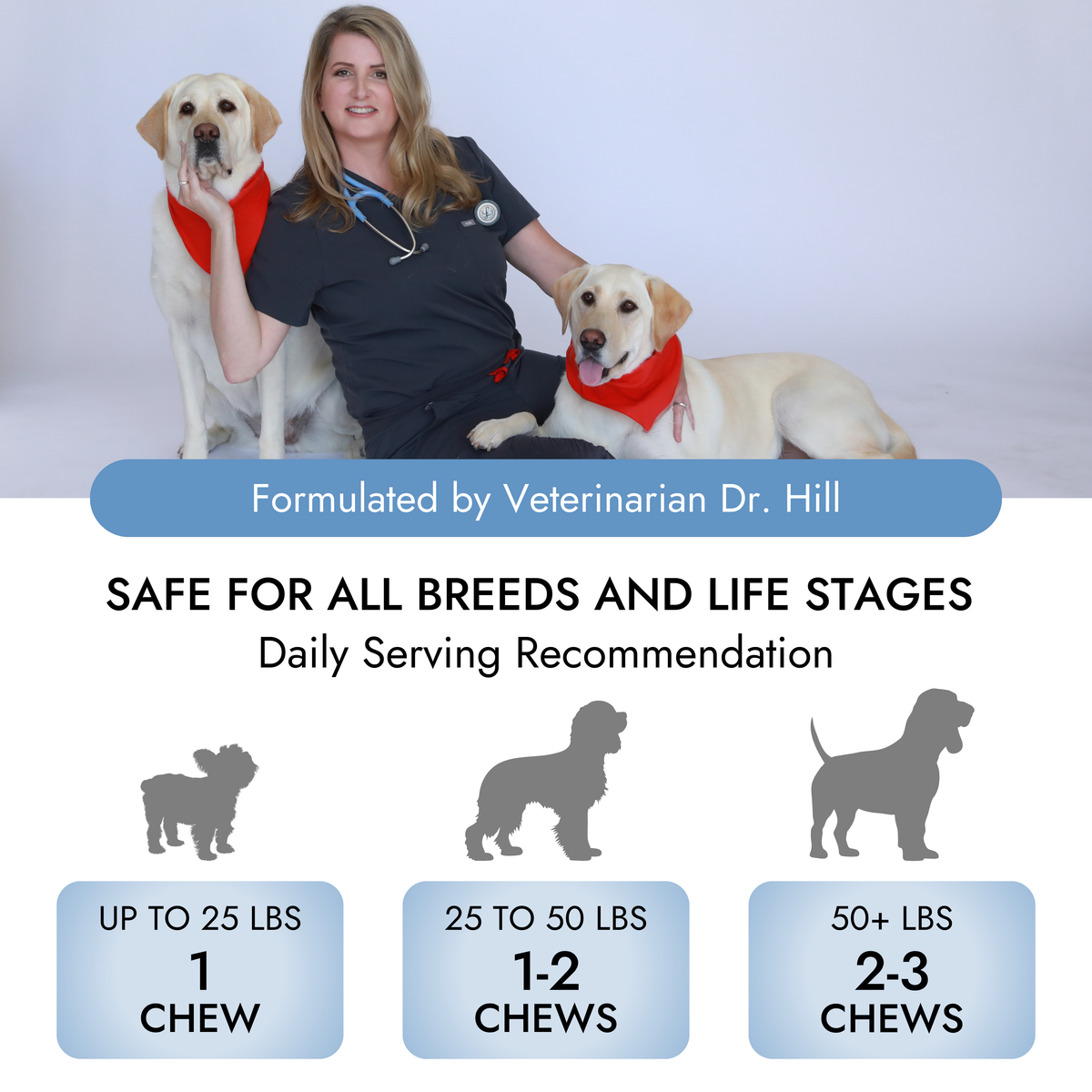 Pet Vet Calming Chews for Dogs