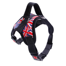 Load image into Gallery viewer, Heavy Duty Nylon Dog Harness – Adjustable Padded Vest - All sizes