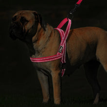 Load image into Gallery viewer, No Pull Reflective Dog Harness Leash Set Pet Vest Lead