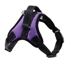 Load image into Gallery viewer, Heavy Duty Nylon Dog Harness – Adjustable Padded Vest - All sizes