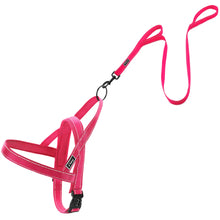 Load image into Gallery viewer, No Pull Reflective Dog Harness Leash Set Pet Vest Lead