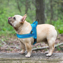 Load image into Gallery viewer, Nylon Reflective Pet Dog Harnesses Vest Soft Flannel Padded No Pull Strap