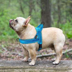 Nylon Reflective Pet Dog Harnesses Vest Soft Flannel Padded No Pull Strap