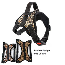 Load image into Gallery viewer, Heavy Duty Nylon Dog Harness – Adjustable Padded Vest - All sizes
