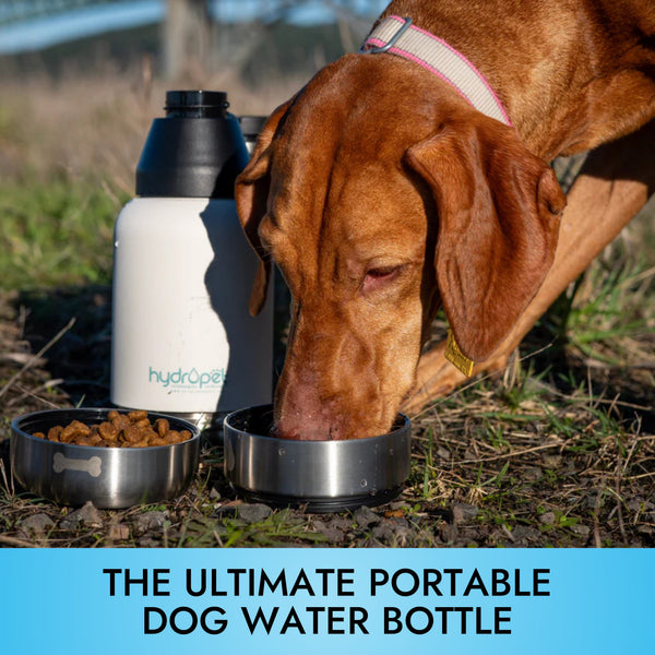 HydroPet Dog Water Bottle 32 oz