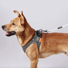 Load image into Gallery viewer, Instachew PETKIT Air Pro Dog Harness