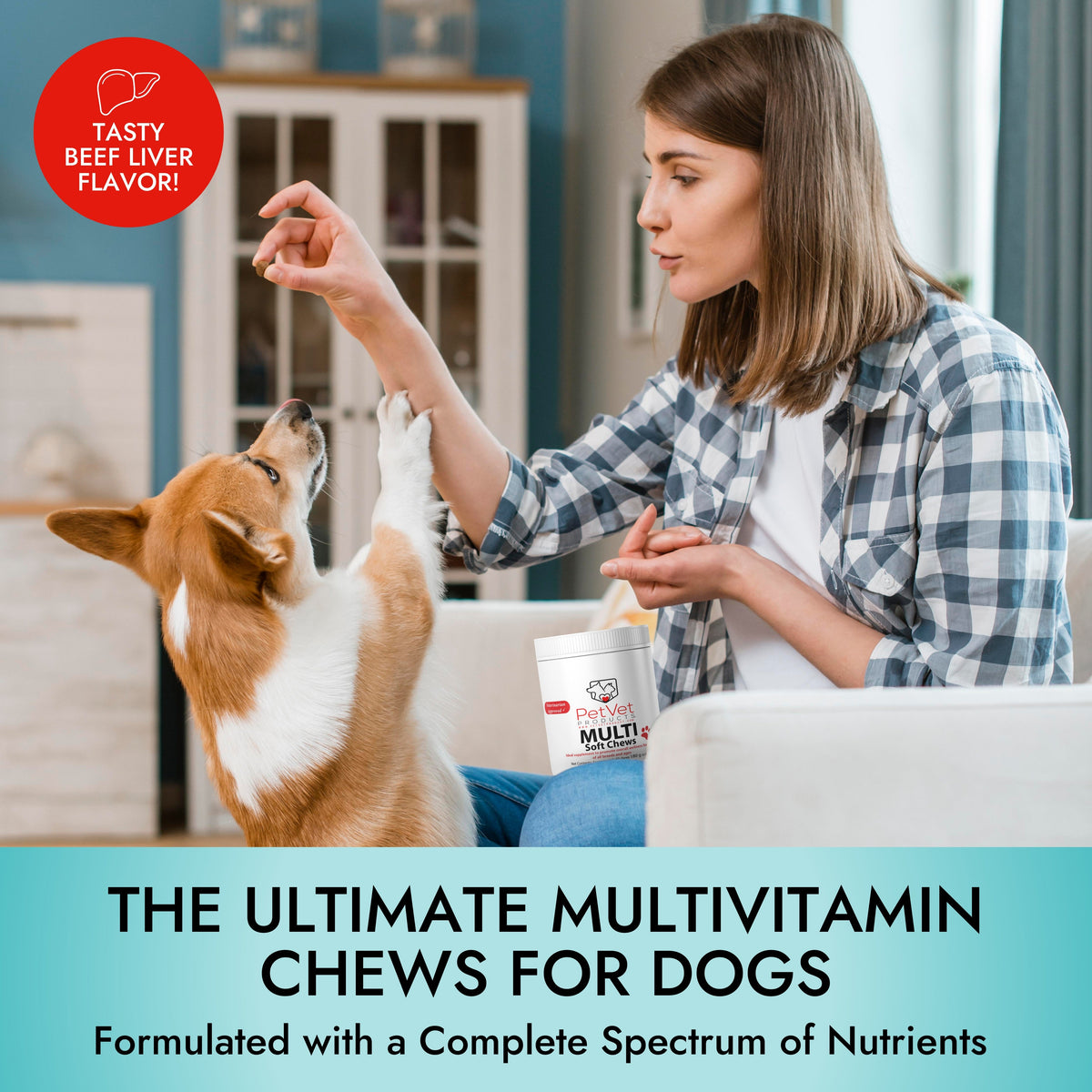 Pet Vet Multi Soft Chews for Dogs