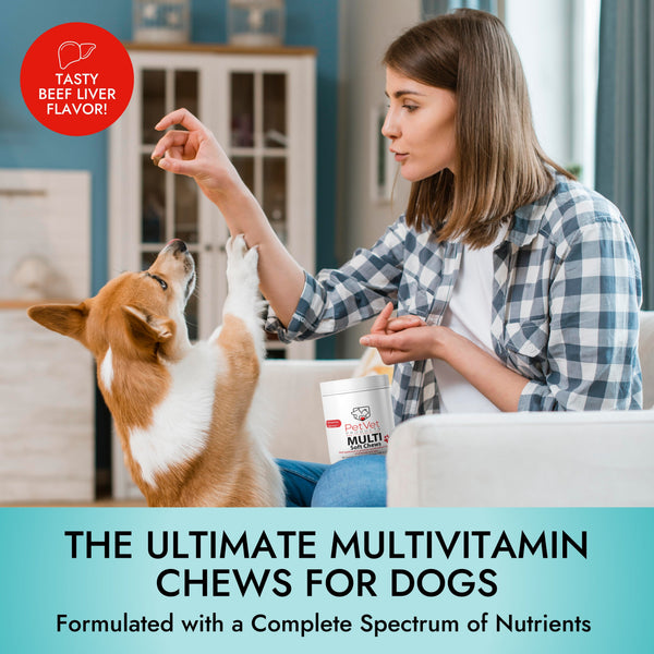 Pet Vet Multi Soft Chews for Dogs