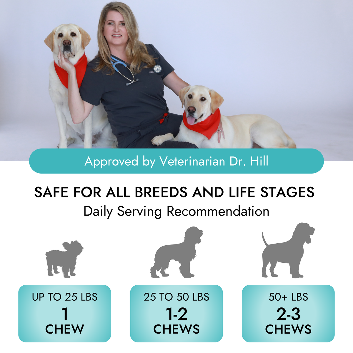 Pet Vet Multi Soft Chews for Dogs