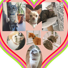 Load image into Gallery viewer, Heart Charm &amp; Bell Cat Collar