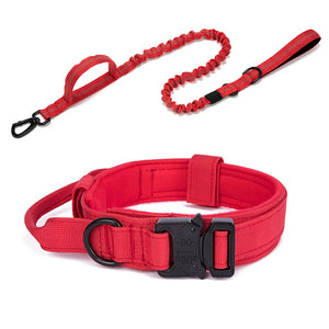 Durable Nylon Dog Collar & Reflective – Tactical Training for Large Dogs