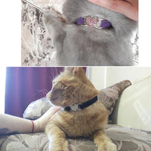 Load image into Gallery viewer, Heart Charm &amp; Bell Cat Collar