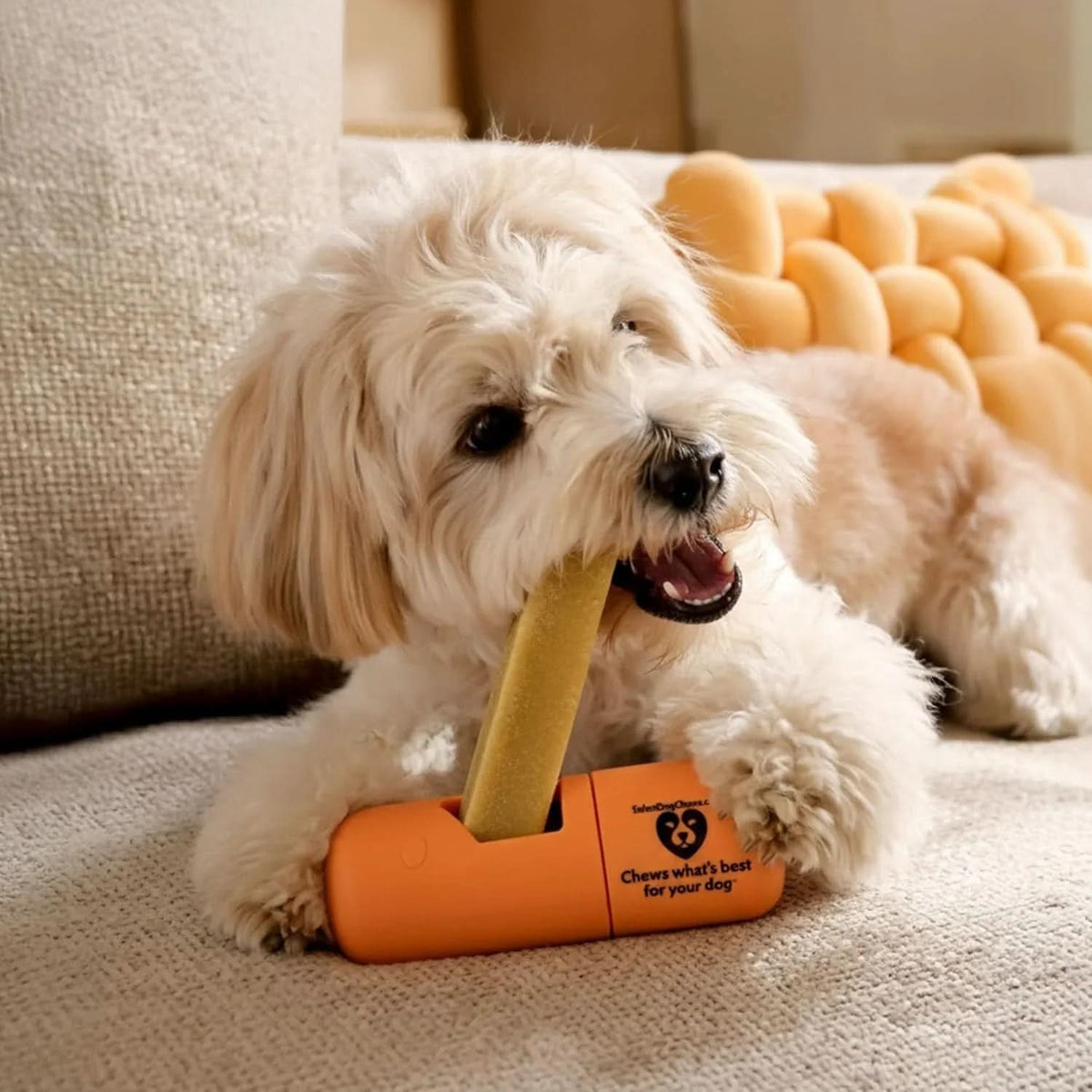Dog Chew Holder -Small
