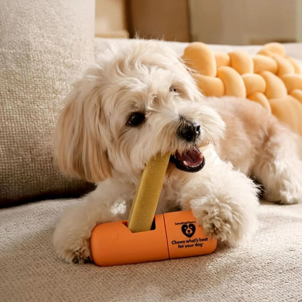 Dog Chew Holder -Small