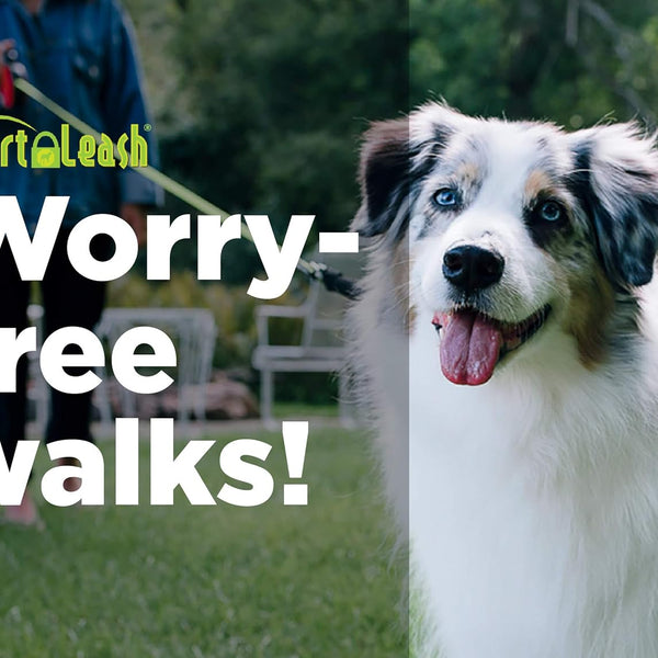 SmartLeash®