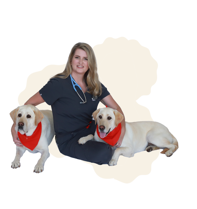 Pet Vet First Aid Guide Spiral Bound: Handbook for Pet Emergencies – Easy-to-Read Charts, CPR, Toxicity Calculators & Step-by-Step Instructions