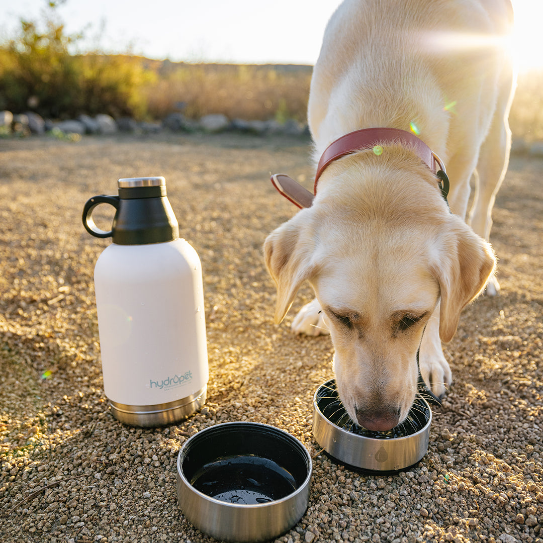 HydroPet Dog Water Bottle 64 oz