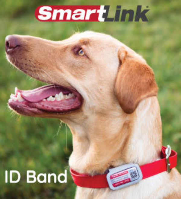 SmartLink ID Bands