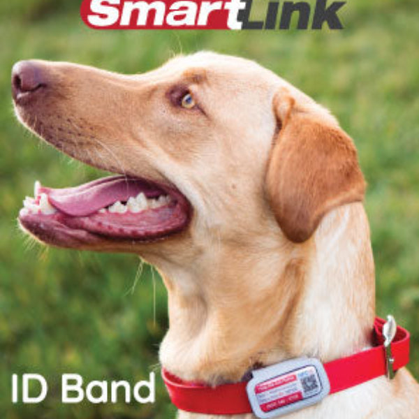 SmartLink ID Bands