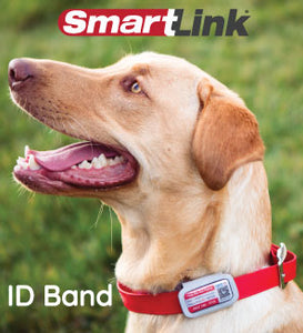 SmartLink ID Band